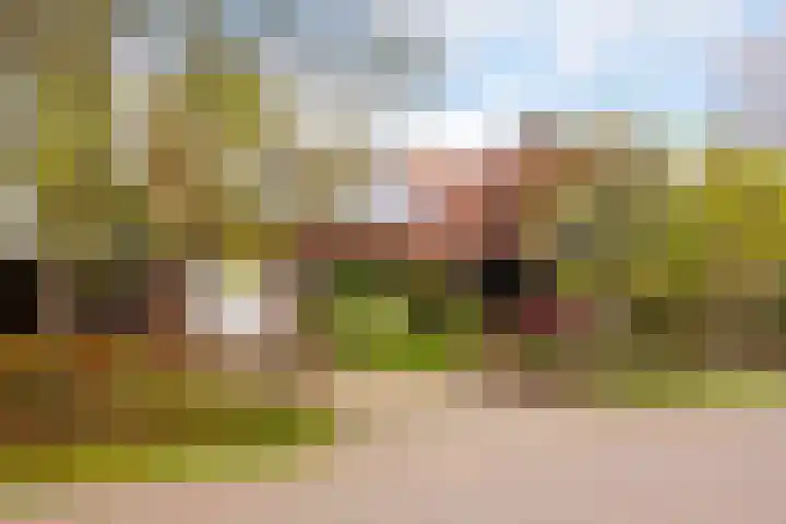 Brinkweg 25 Delden thumbnail 12