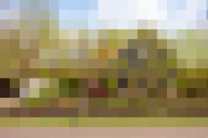 Brinkweg 25 Delden thumbnail 13
