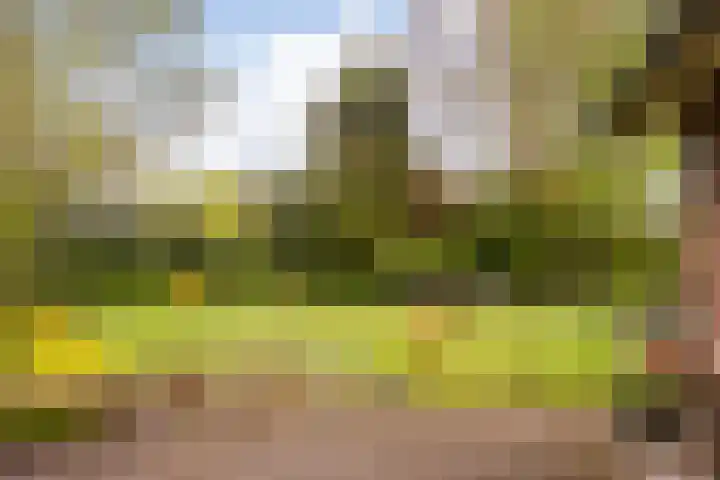 Brinkweg 25 Delden thumbnail 31