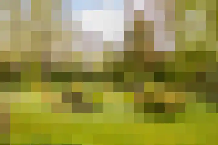 Brinkweg 25 Delden thumbnail 32