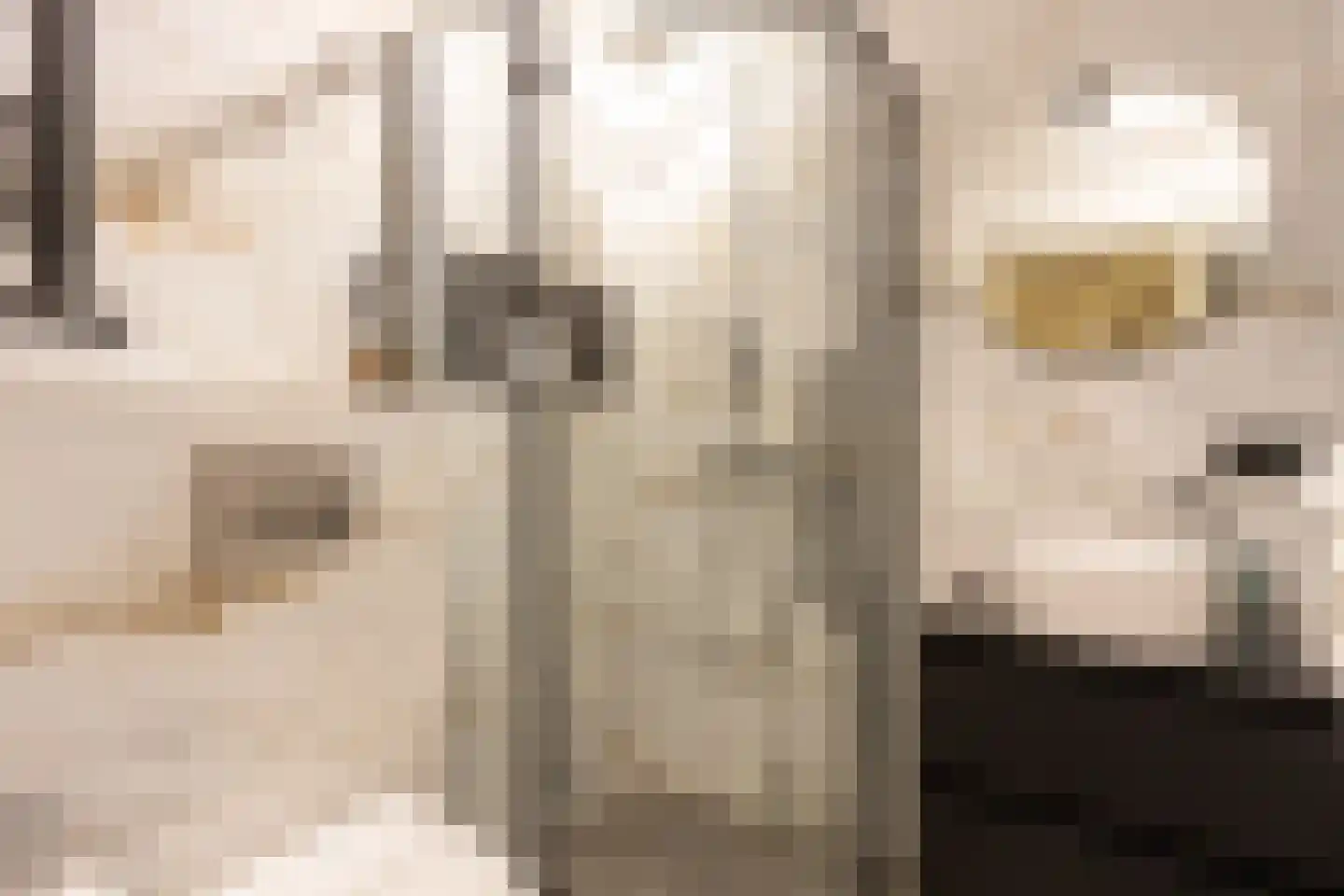 Brinkweg 27 Hilversum thumbnail 8