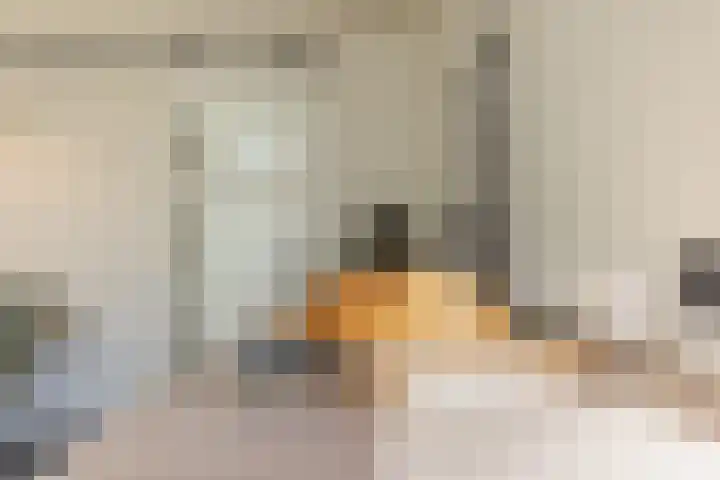 Brinkweg 29 Ede thumbnail 26
