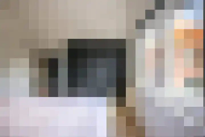Brinkweg 29 Ede thumbnail 33