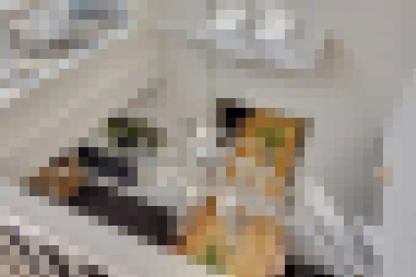 Brinkweg 33 Hilversum thumbnail 22