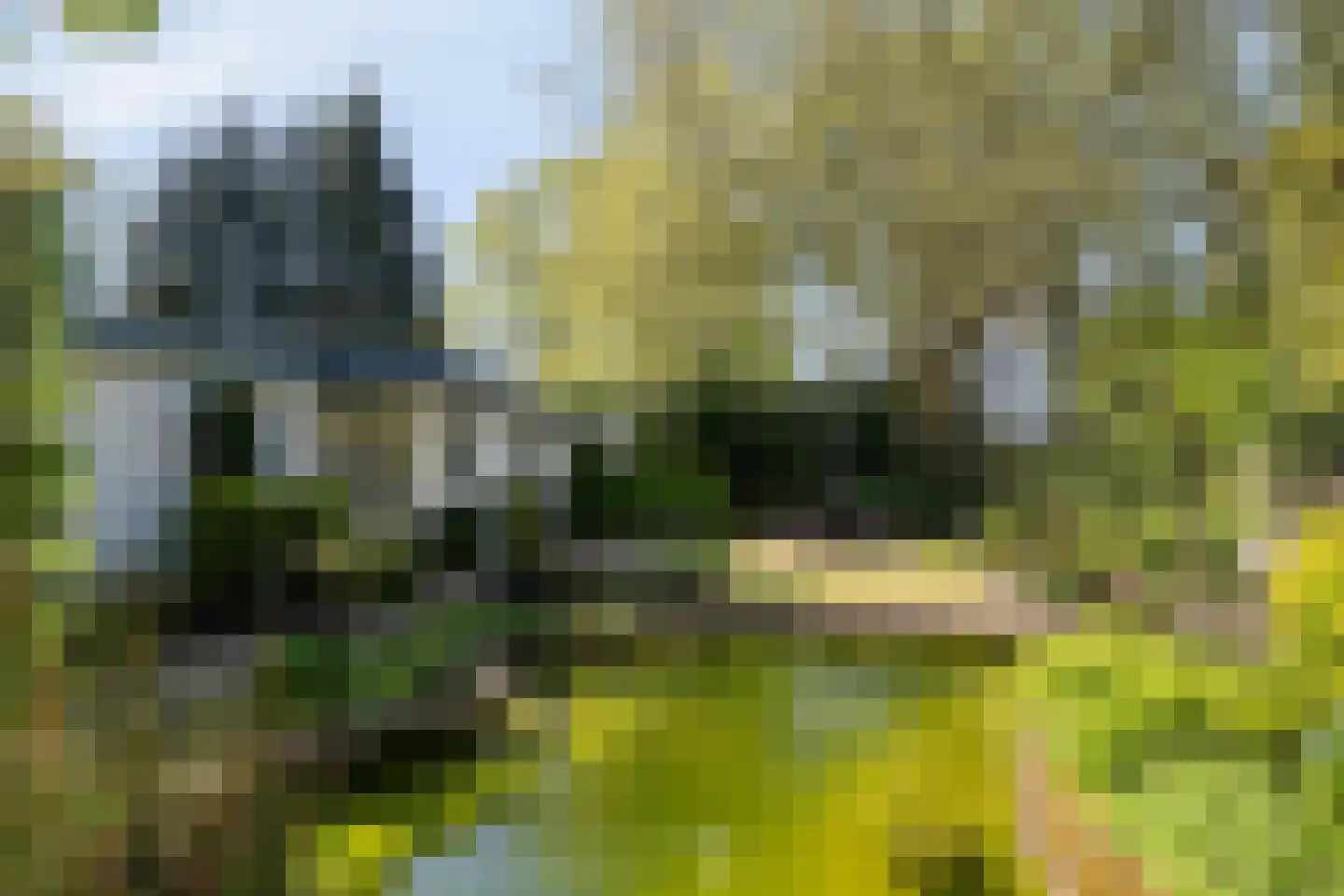 Brinkweg 4 Someren thumbnail 13