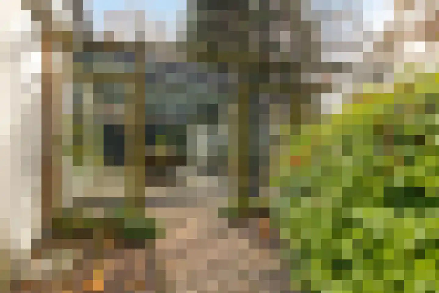 Brinkweg 4 Someren thumbnail 35