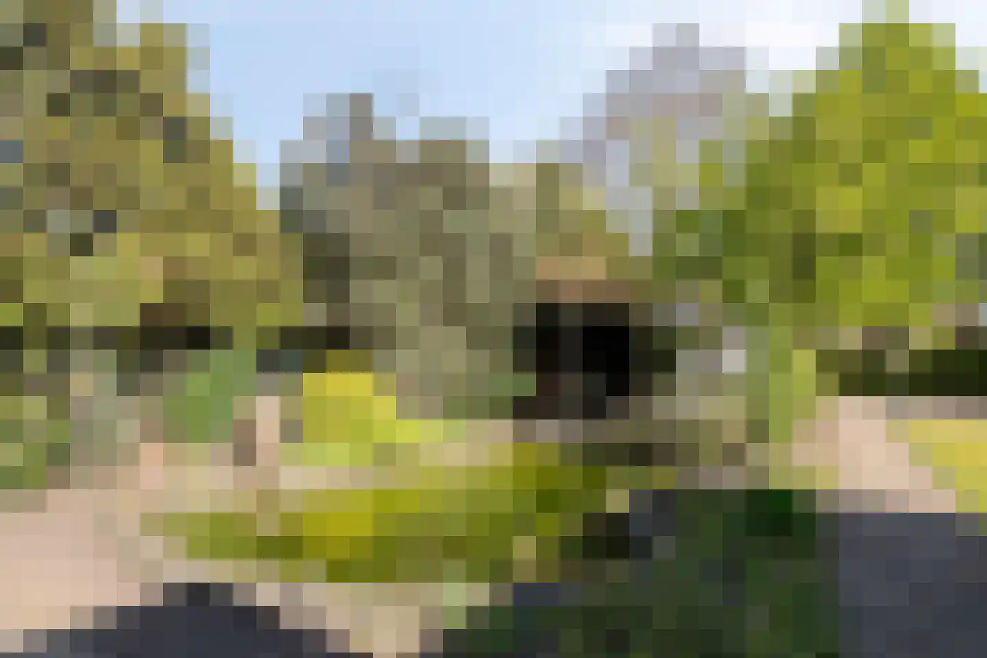 Brinkweg 4 Someren thumbnail 42