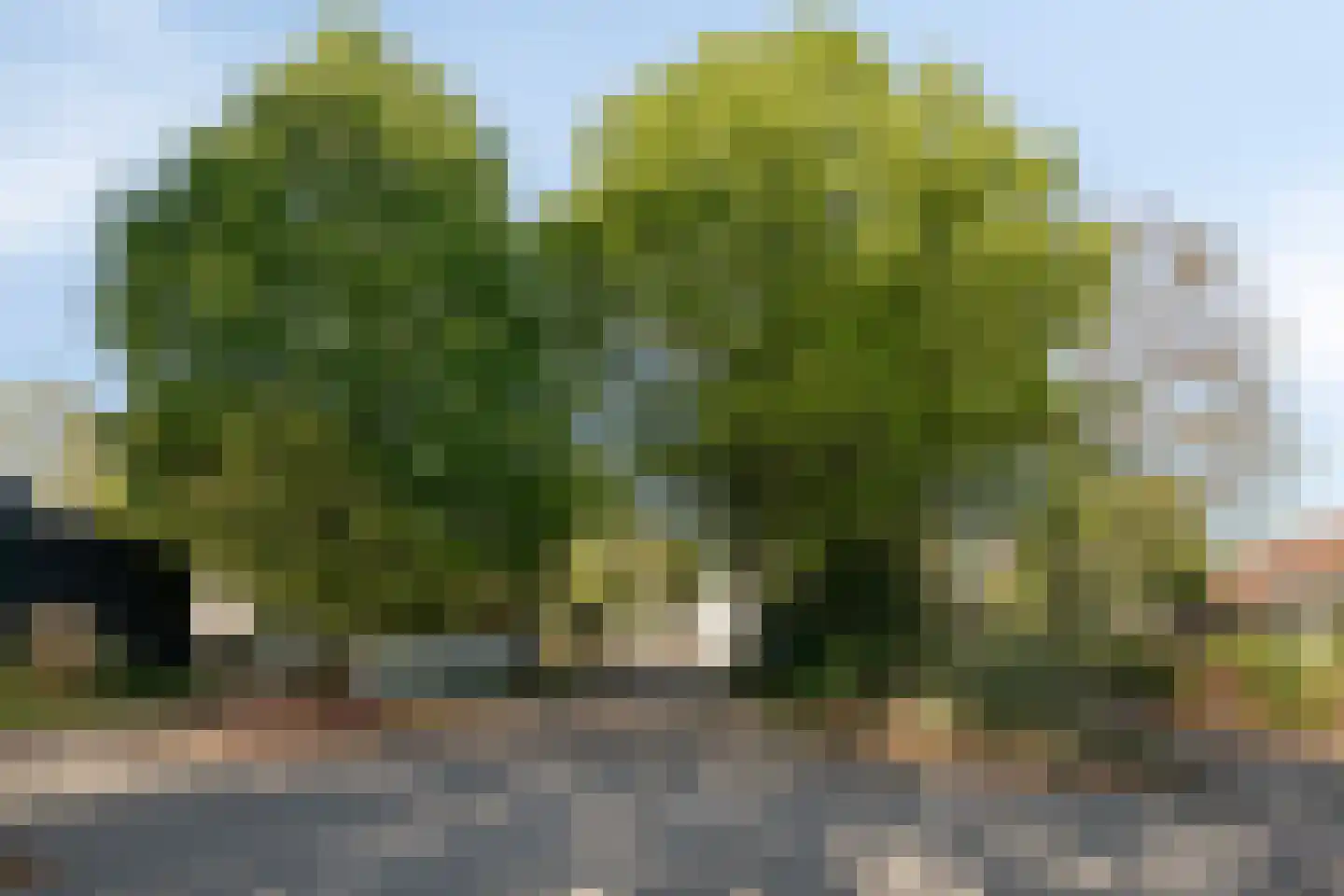 Brinkweg 4 Someren thumbnail 9
