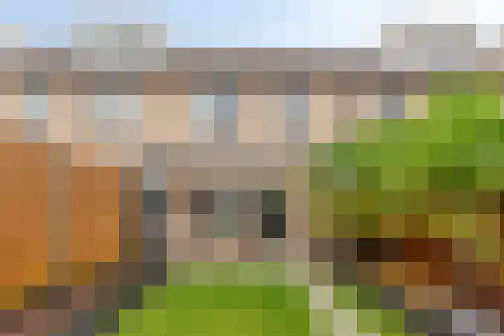 Brinkweg 41 Krimpen aan den IJssel thumbnail 28