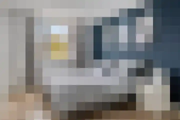 Brinkweg 41 Krimpen aan den IJssel thumbnail 4