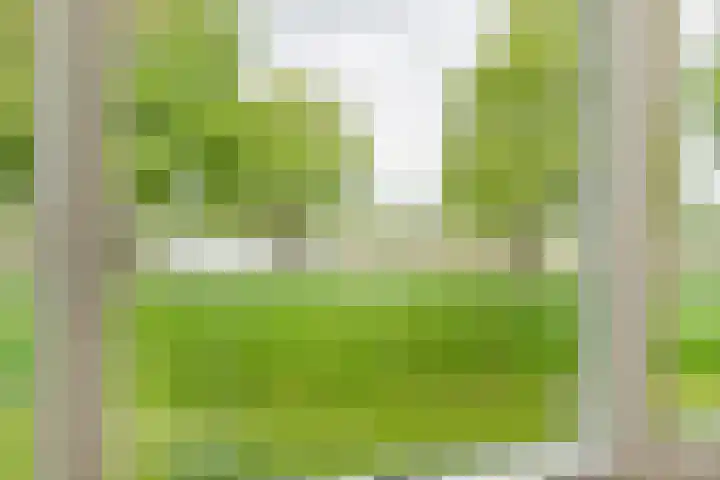 Brinkweg 5 d Bergentheim thumbnail 19
