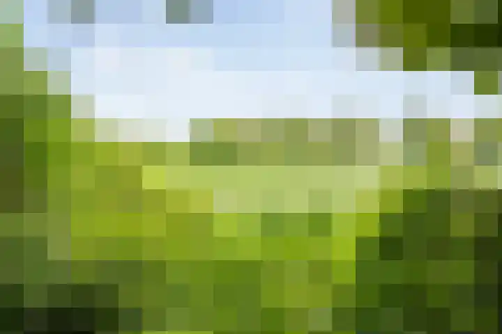 Brinkweg 5 d Bergentheim thumbnail 22