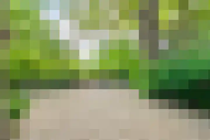 Brinkweg 5 d Bergentheim thumbnail 23