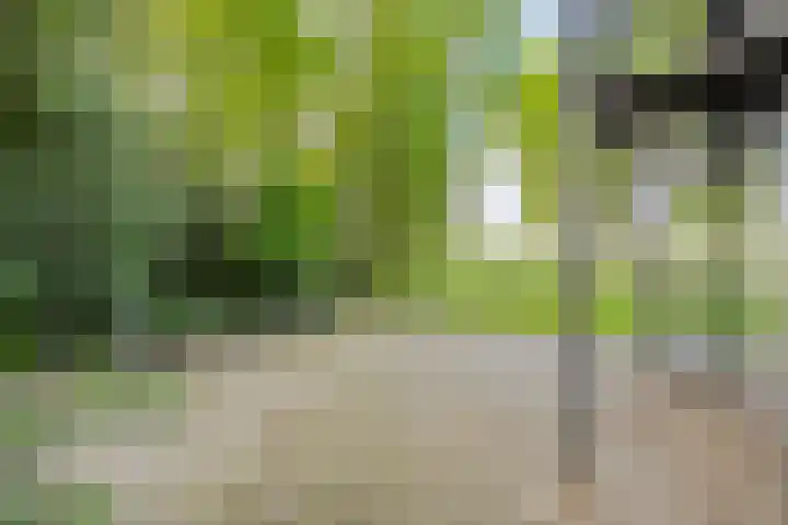 Brinkweg 5 d Bergentheim thumbnail 25
