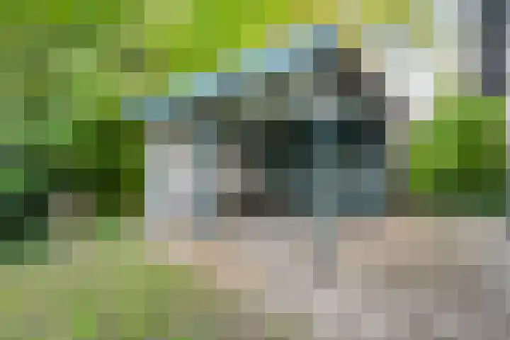 Brinkweg 5 d Bergentheim thumbnail 26