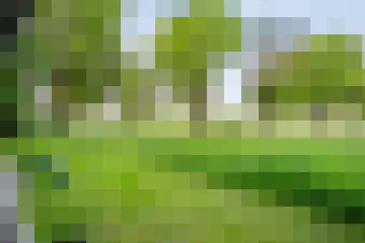 Brinkweg 5 d Bergentheim thumbnail 27