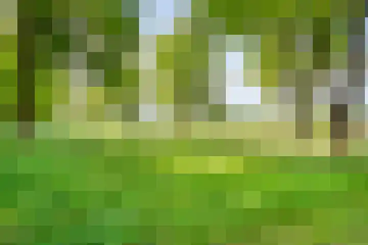 Brinkweg 5 d Bergentheim thumbnail 28