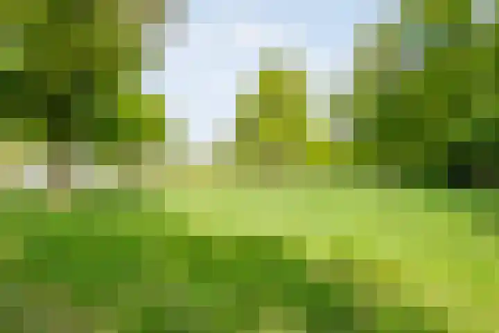Brinkweg 5 d Bergentheim thumbnail 29