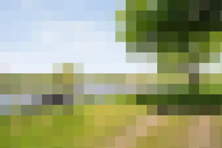 Brinkweg 5 d Bergentheim thumbnail 30