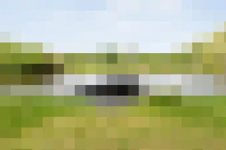 Brinkweg 5 d Bergentheim thumbnail 31