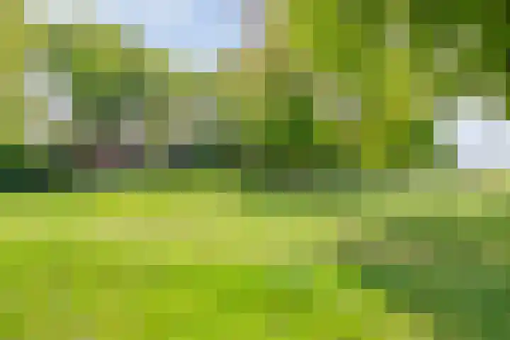 Brinkweg 5 d Bergentheim thumbnail 32