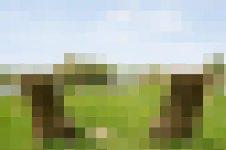 Brinkweg 5 d Bergentheim thumbnail 33