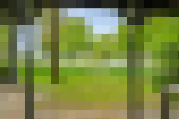 Brinkweg 5 d Bergentheim thumbnail 35