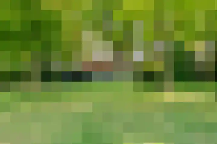 Brinkweg 5 d Bergentheim thumbnail 36