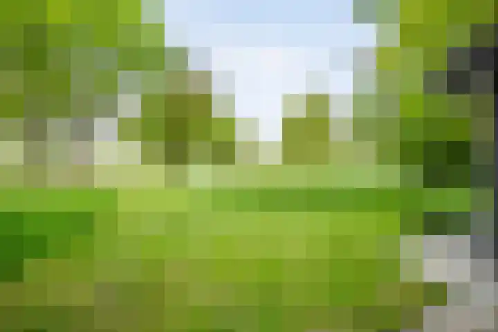 Brinkweg 5 d Bergentheim thumbnail 39