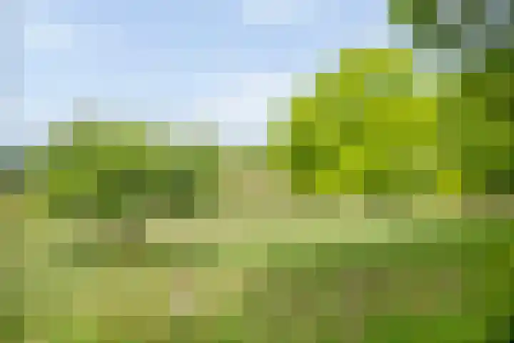 Brinkweg 5 d Bergentheim thumbnail 42
