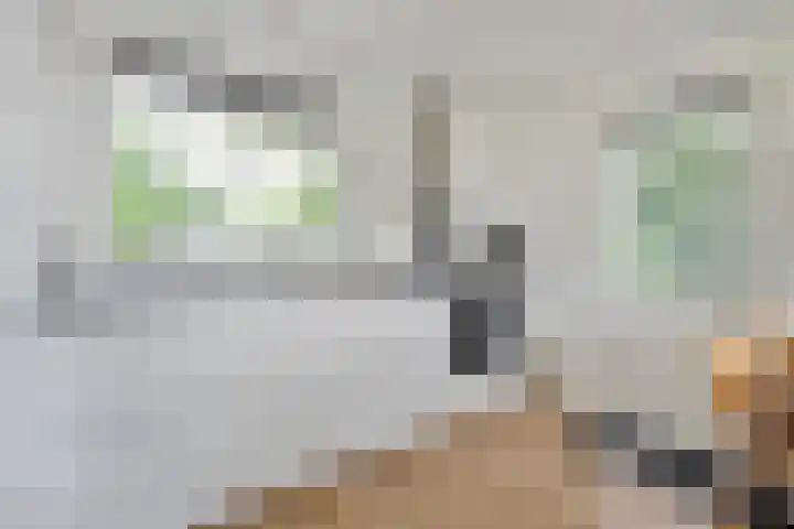 Brinkweg 5 d Bergentheim thumbnail 8