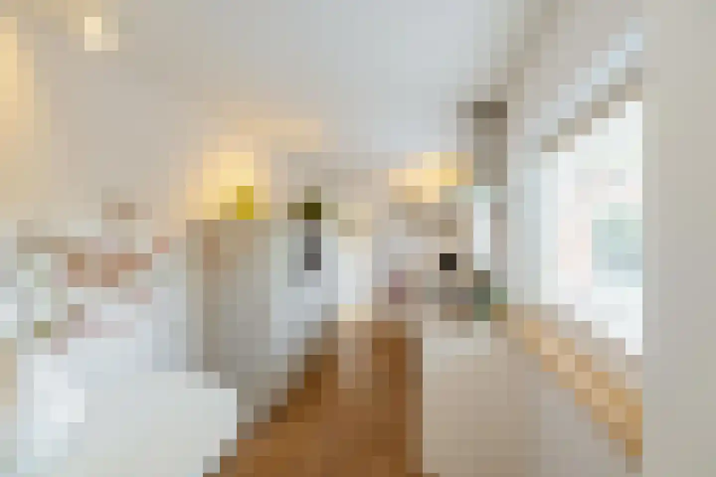 Brinkweg 5 Glimmen thumbnail 12