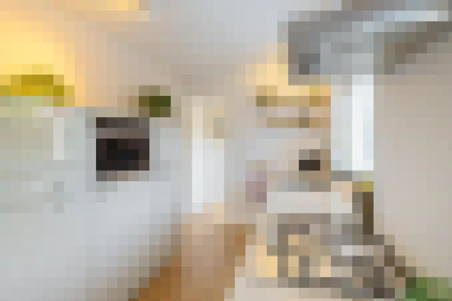 Brinkweg 5 Glimmen thumbnail 13