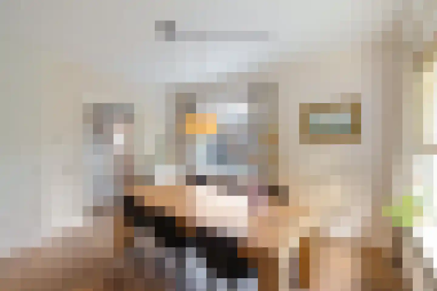 Brinkweg 5 Glimmen thumbnail 18