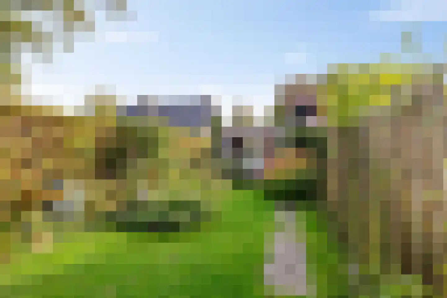 Brinkweg 5 Glimmen thumbnail 38