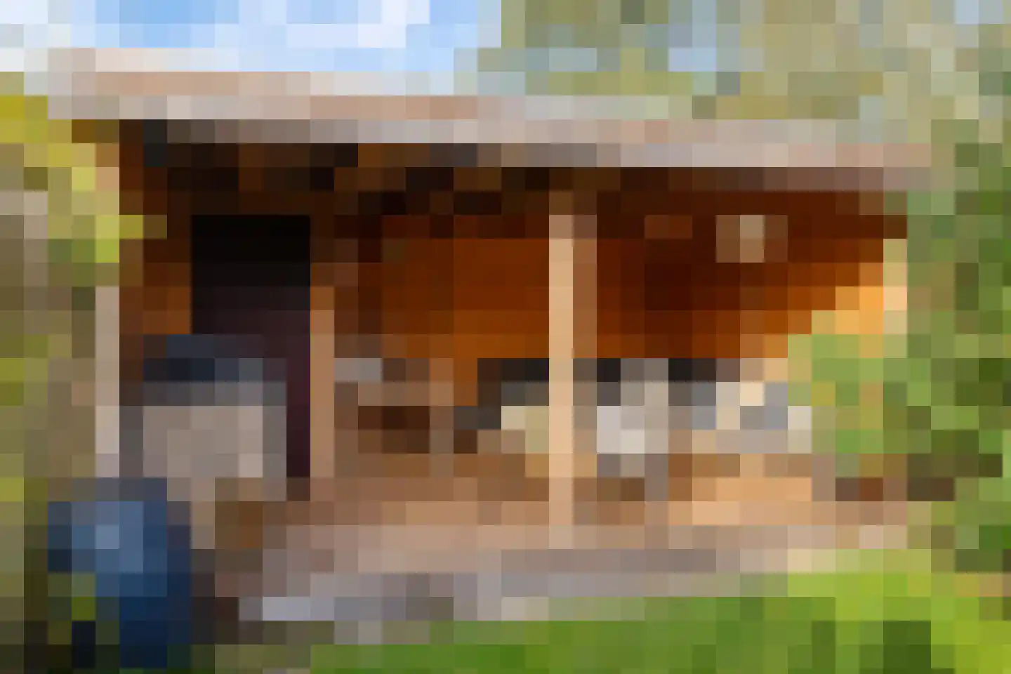 Brinkweg 5 Glimmen thumbnail 39