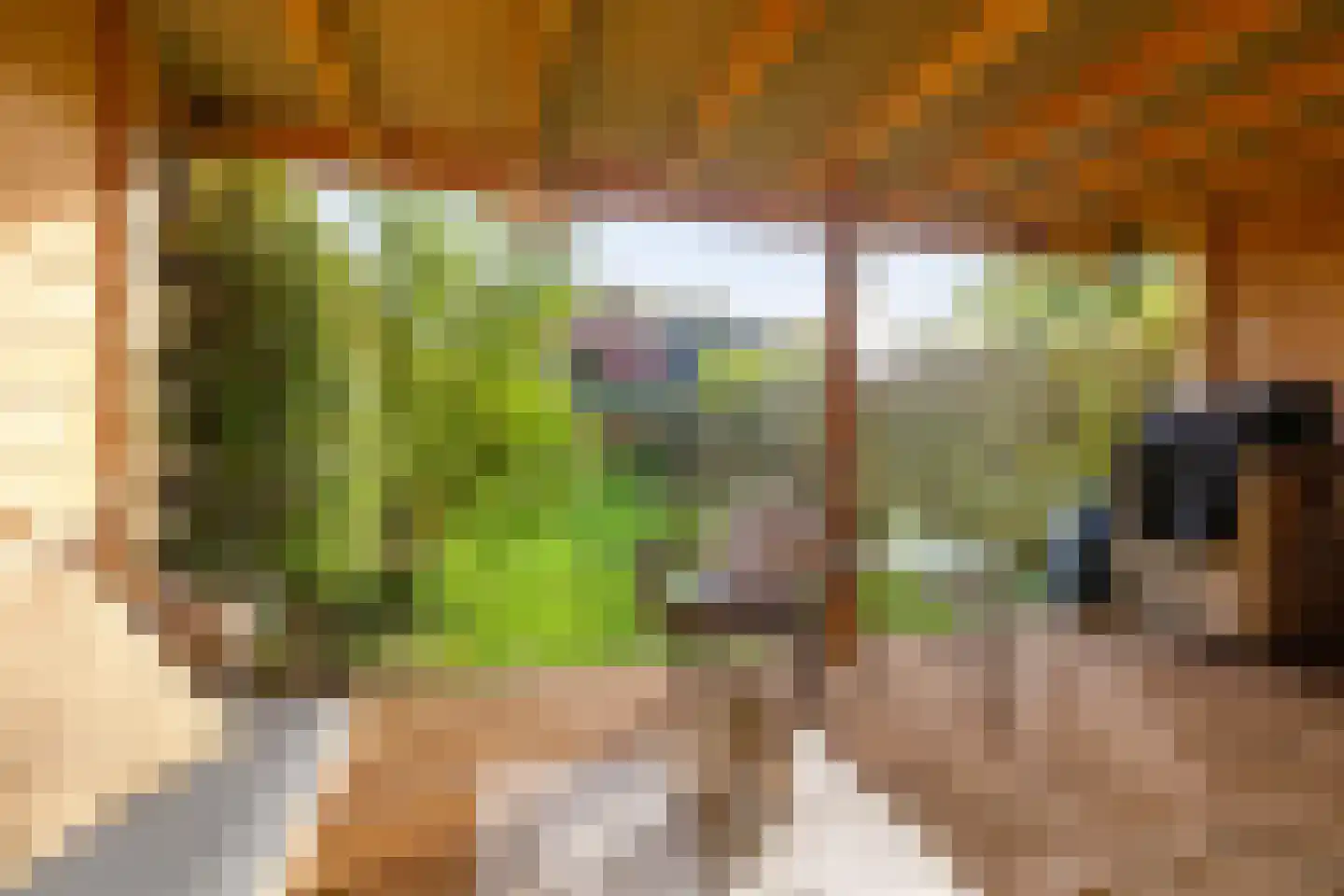 Brinkweg 5 Glimmen thumbnail 41