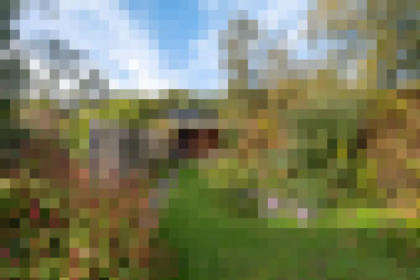 Brinkweg 5 Glimmen thumbnail 45