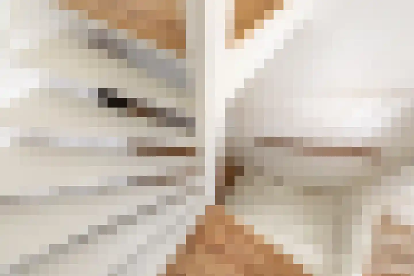 Brinkweg 53 Hilversum thumbnail 42