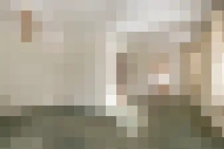 Brinkweg 9 Peize thumbnail 12