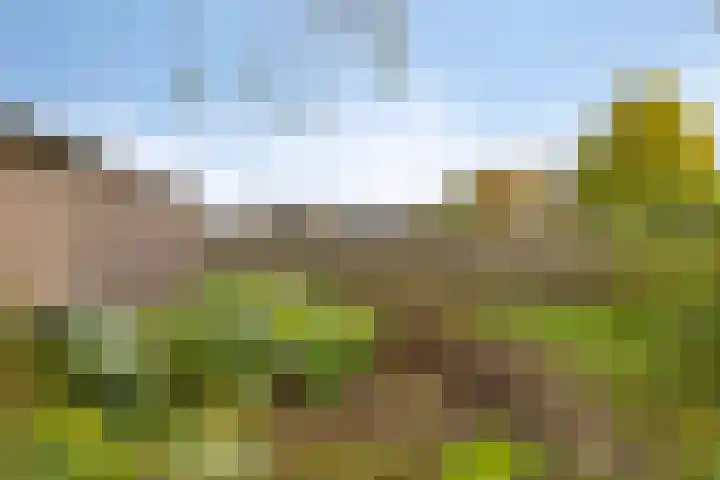 Brinkweg 9 Peize thumbnail 36