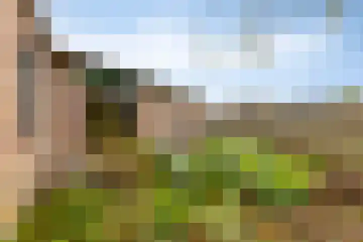 Brinkweg 9 Peize thumbnail 37
