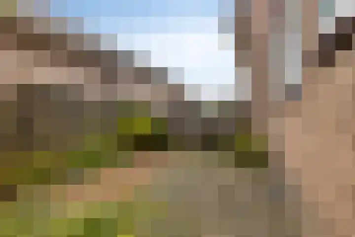 Brinkweg 9 Peize thumbnail 38