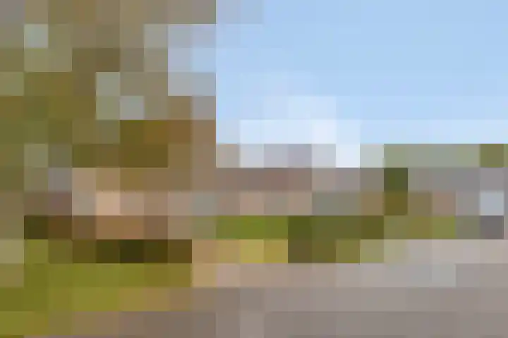 Brinkweg 9 Peize thumbnail 4