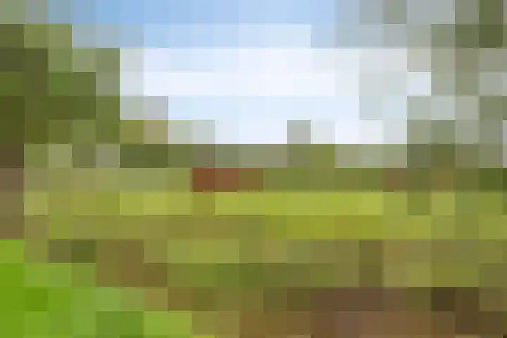 Brinkweg 9 Peize thumbnail 41