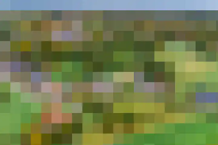 Brinkweg 9 Peize thumbnail 5