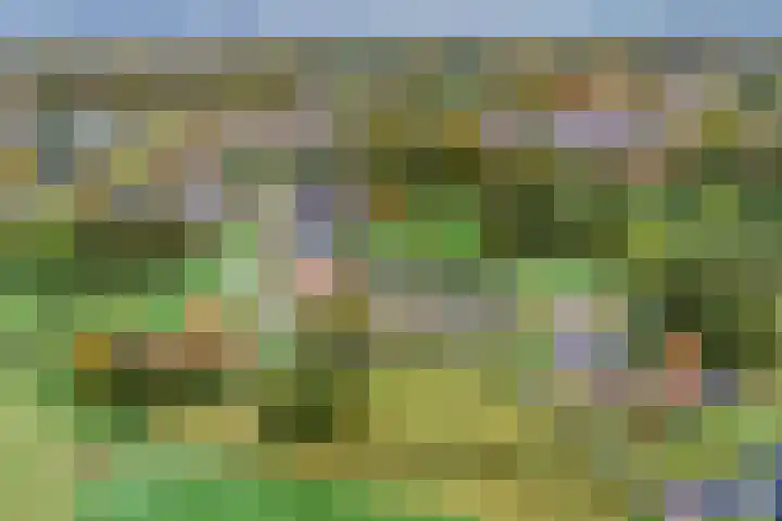 Brinkweg 9 Peize thumbnail 6