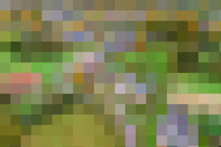 Brinkweg 9 Peize thumbnail 7