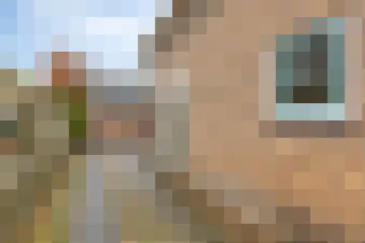 Brinkweg 9 Peize thumbnail 8