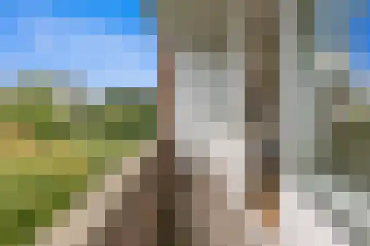 Brinnolaan 24 Voorburg thumbnail 11
